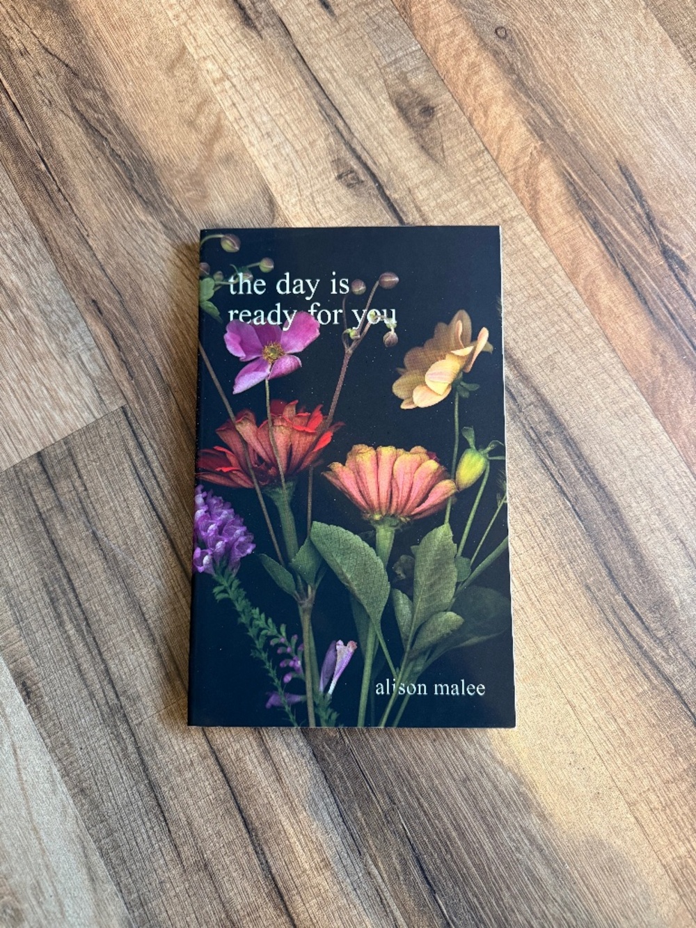 The day is ready for you by Alison Malee
